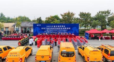 ԣԴ2025ȼ߉ܵUݾfͬΝԴȫ